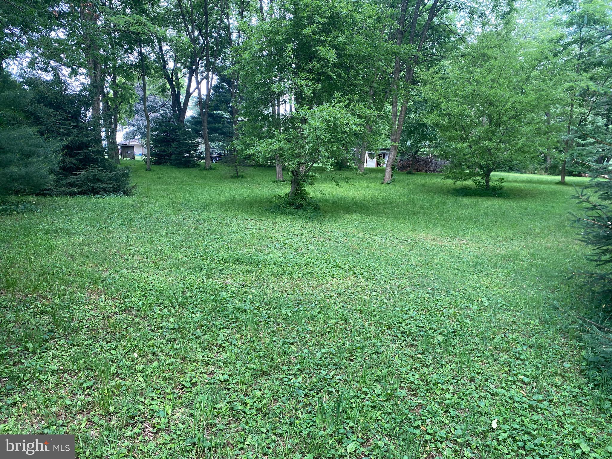 1602 South Forge Road Palmyra, PA 17078 - Photo 35 of 35 Beautiful secluded wooded area in rear of property