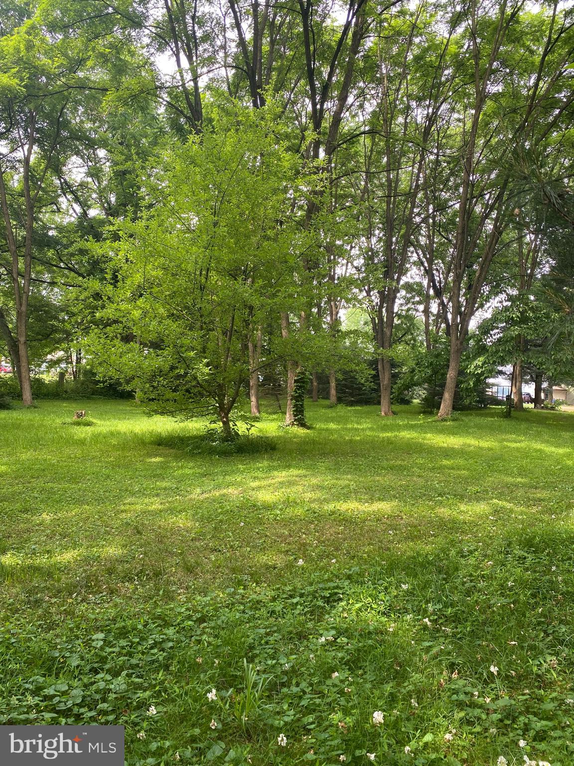 1602 South Forge Road Palmyra, PA 17078 - Photo 10 of 35 Beautiful secluded wooded area in rear of property