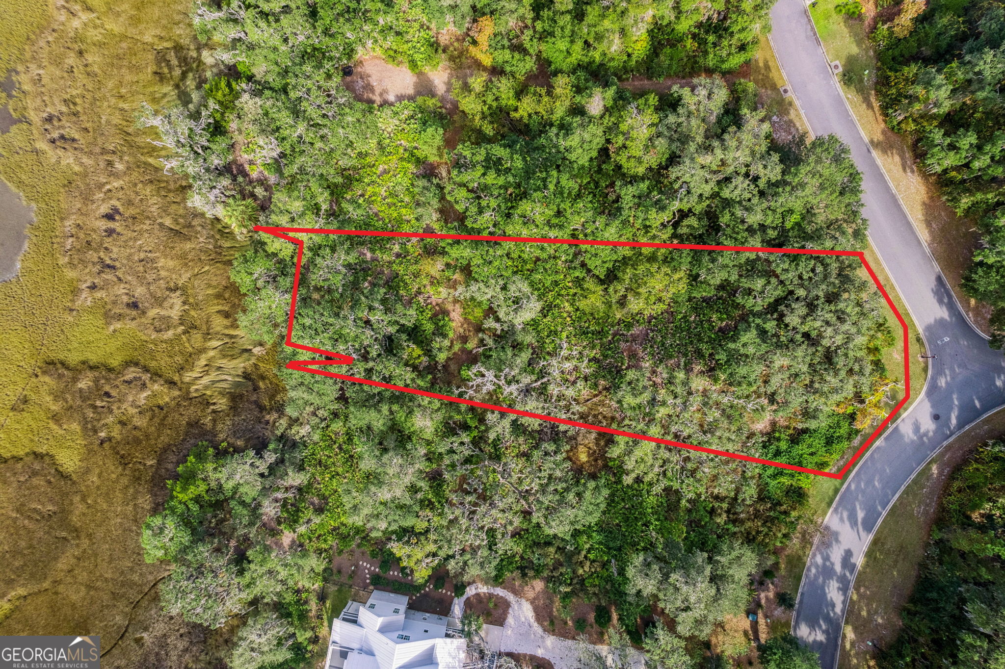 a picture of flowers