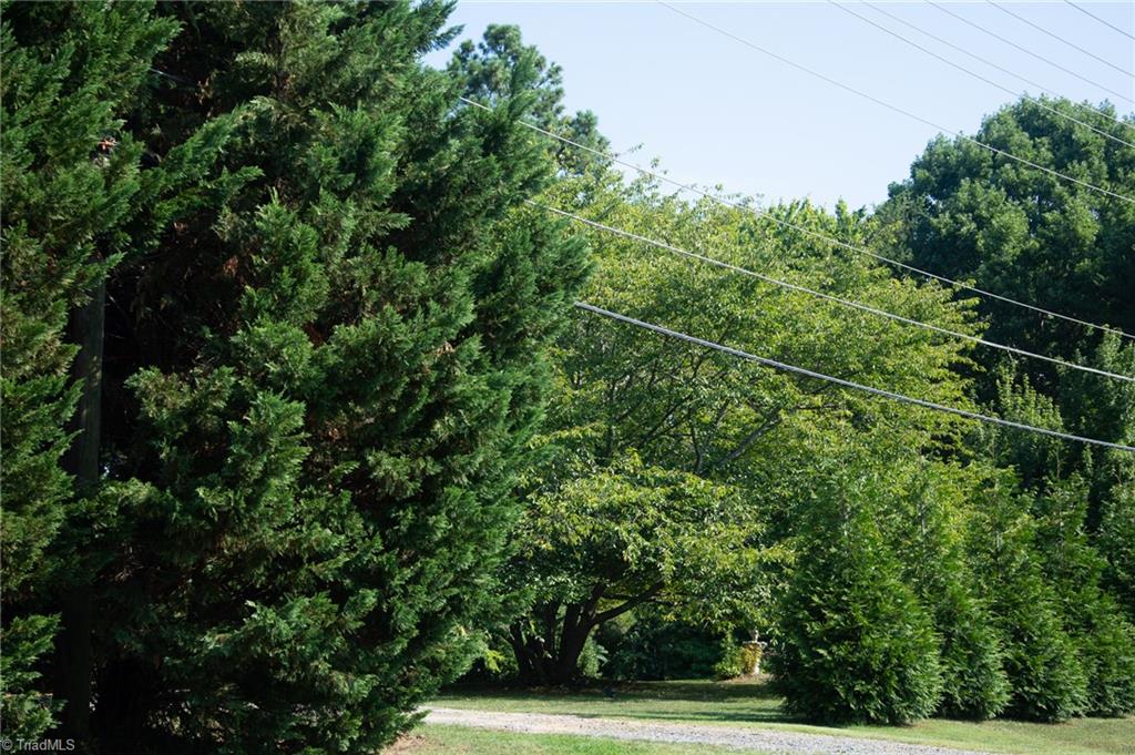 7710 Athens Road Stokesdale, NC 27357 - Photo 3 of 13 Gallery Image 3