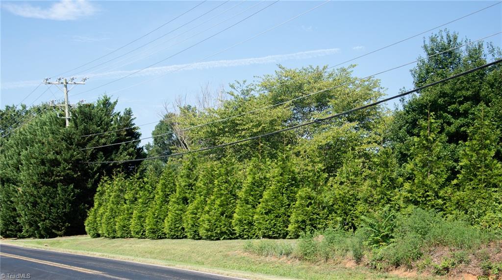 7710 Athens Road Stokesdale, NC 27357 - Photo 4 of 13 Gallery Image 4