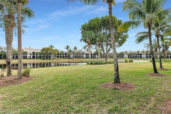 a view of a lake with a city view