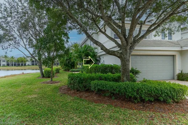 a view of a garden with a tree