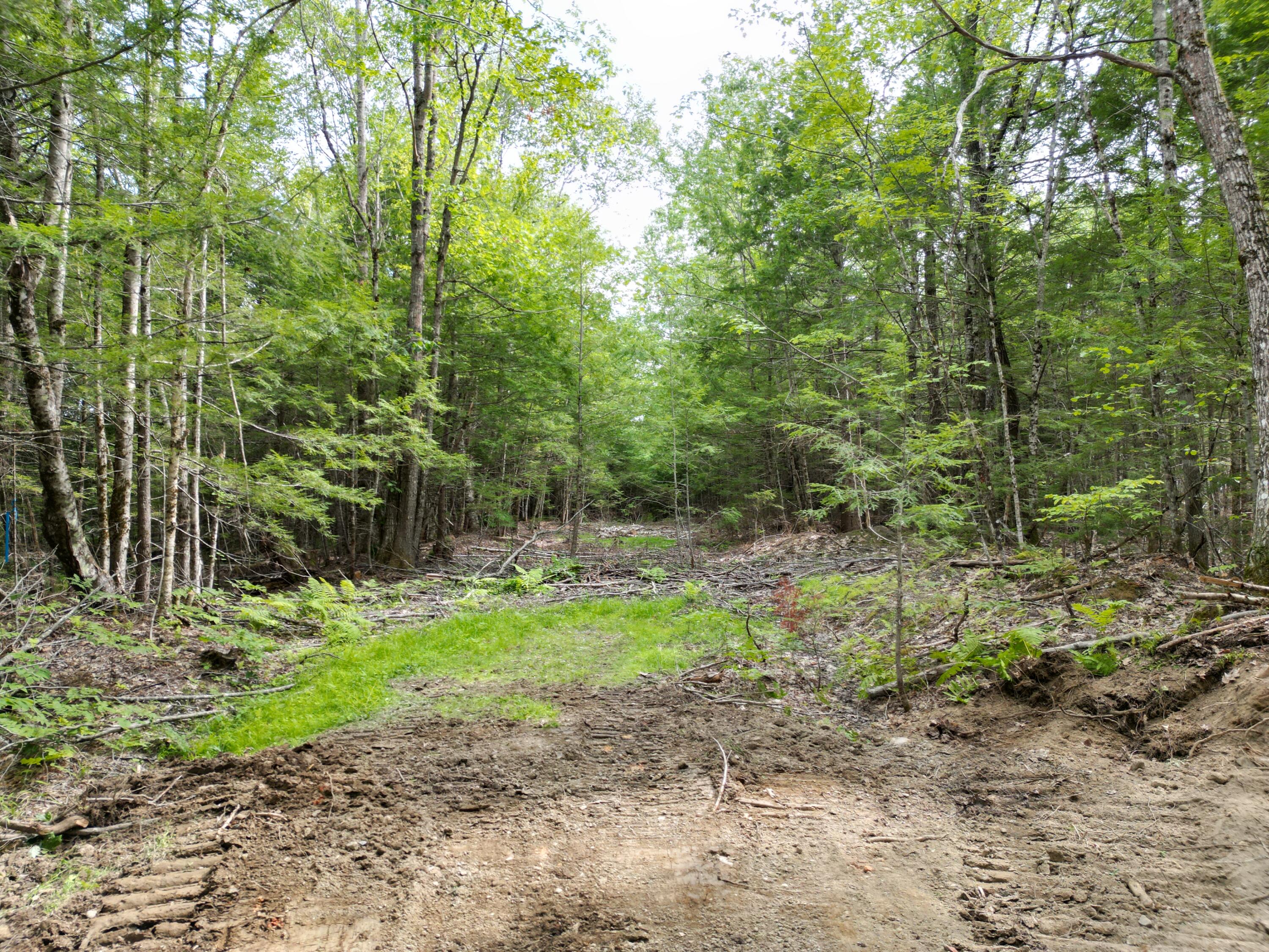 Lot 4 Off Mattamiscontis Road Howland, ME 04448 - Photo 8 of 20 DJI_0072