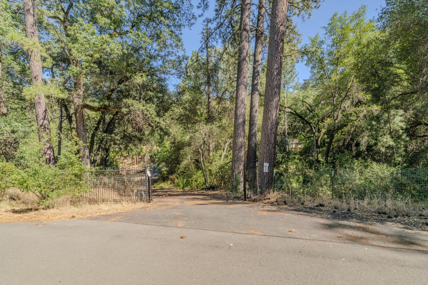 6240 Michel Road Mountain Ranch, CA 95246 - Photo 72 of 92
