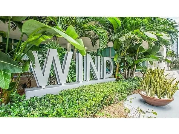 a view of a backyard with plants