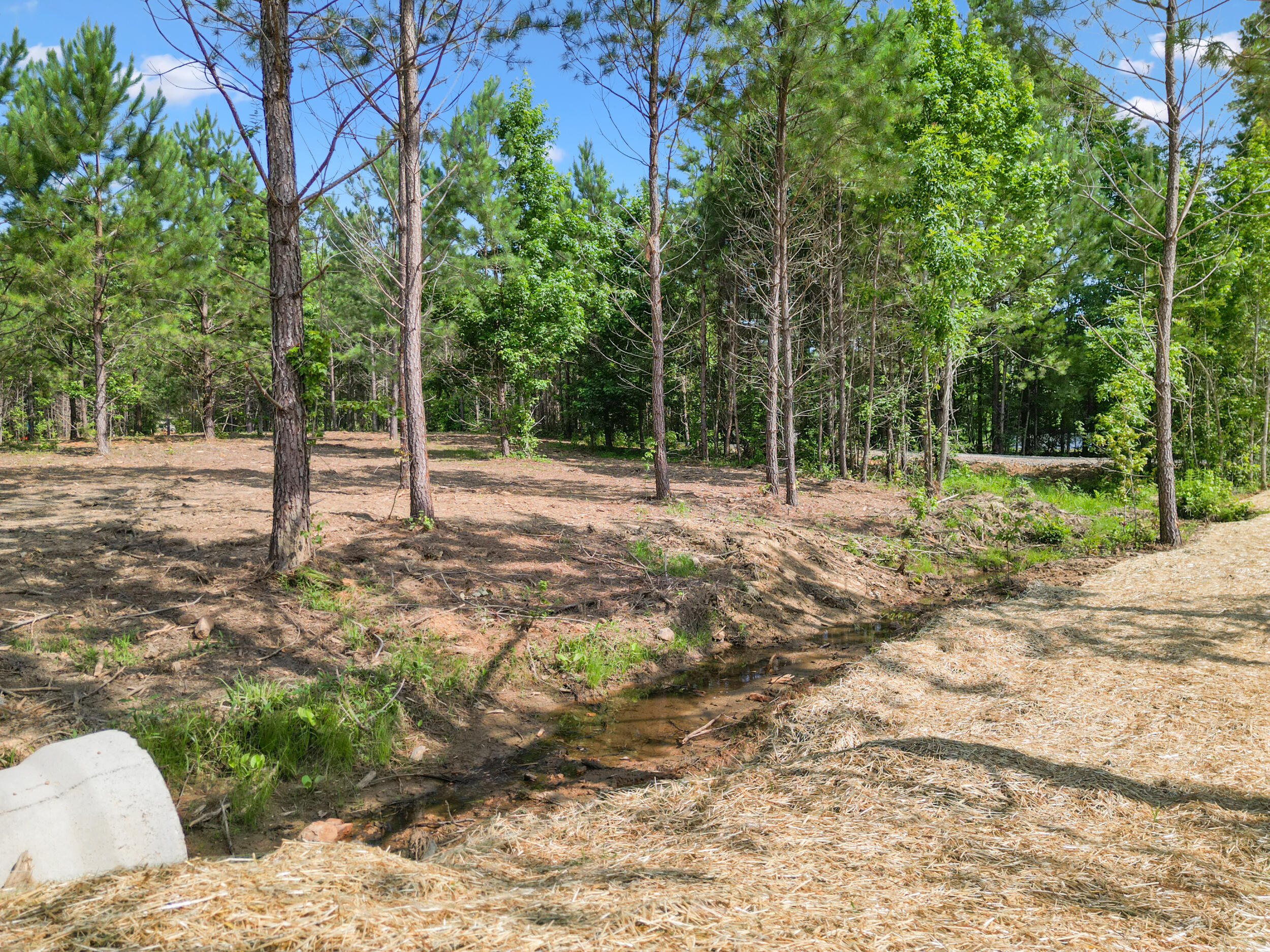 5289 McDonald Road McDonald, TN 37353 - Photo 13 of 16 dji_0145