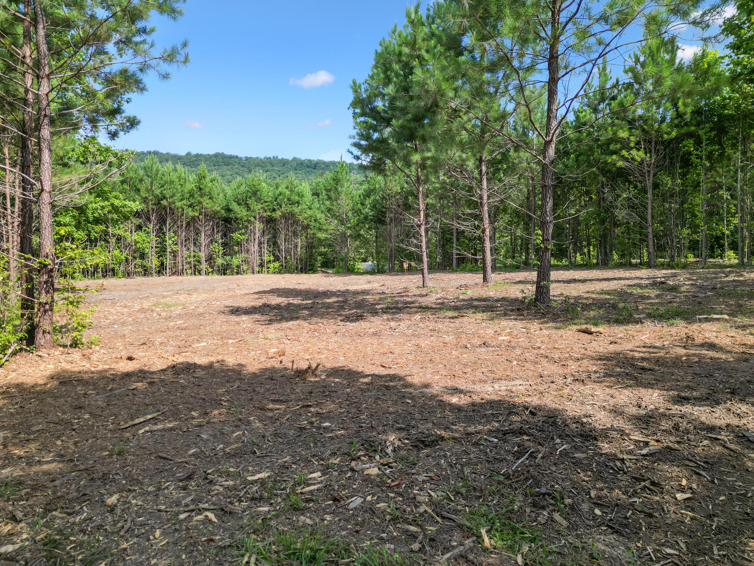 5289 McDonald Road McDonald, TN 37353 - Photo 5 of 16 dji_0165