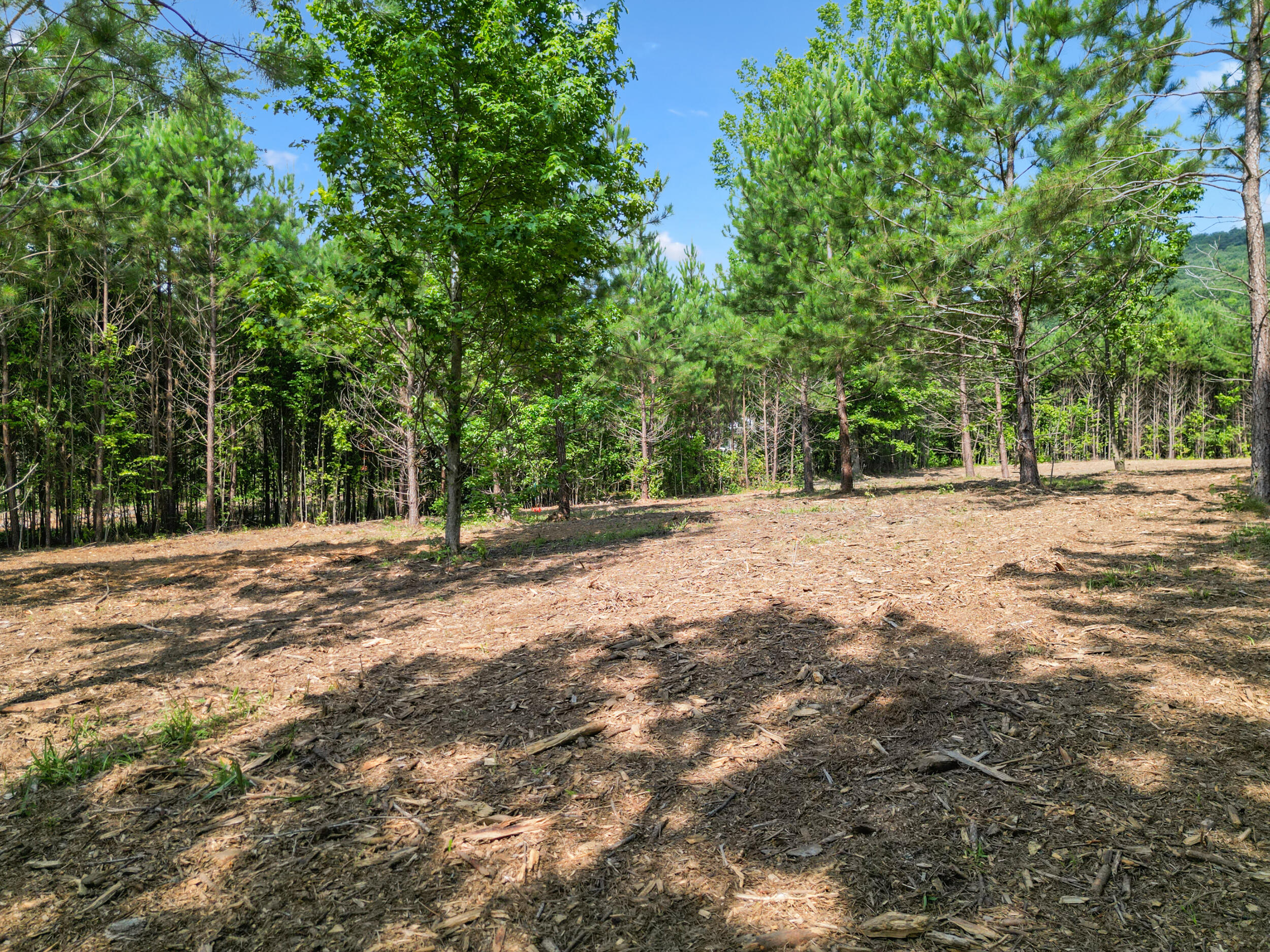 5289 McDonald Road McDonald, TN 37353 - Photo 6 of 16 dji_0160