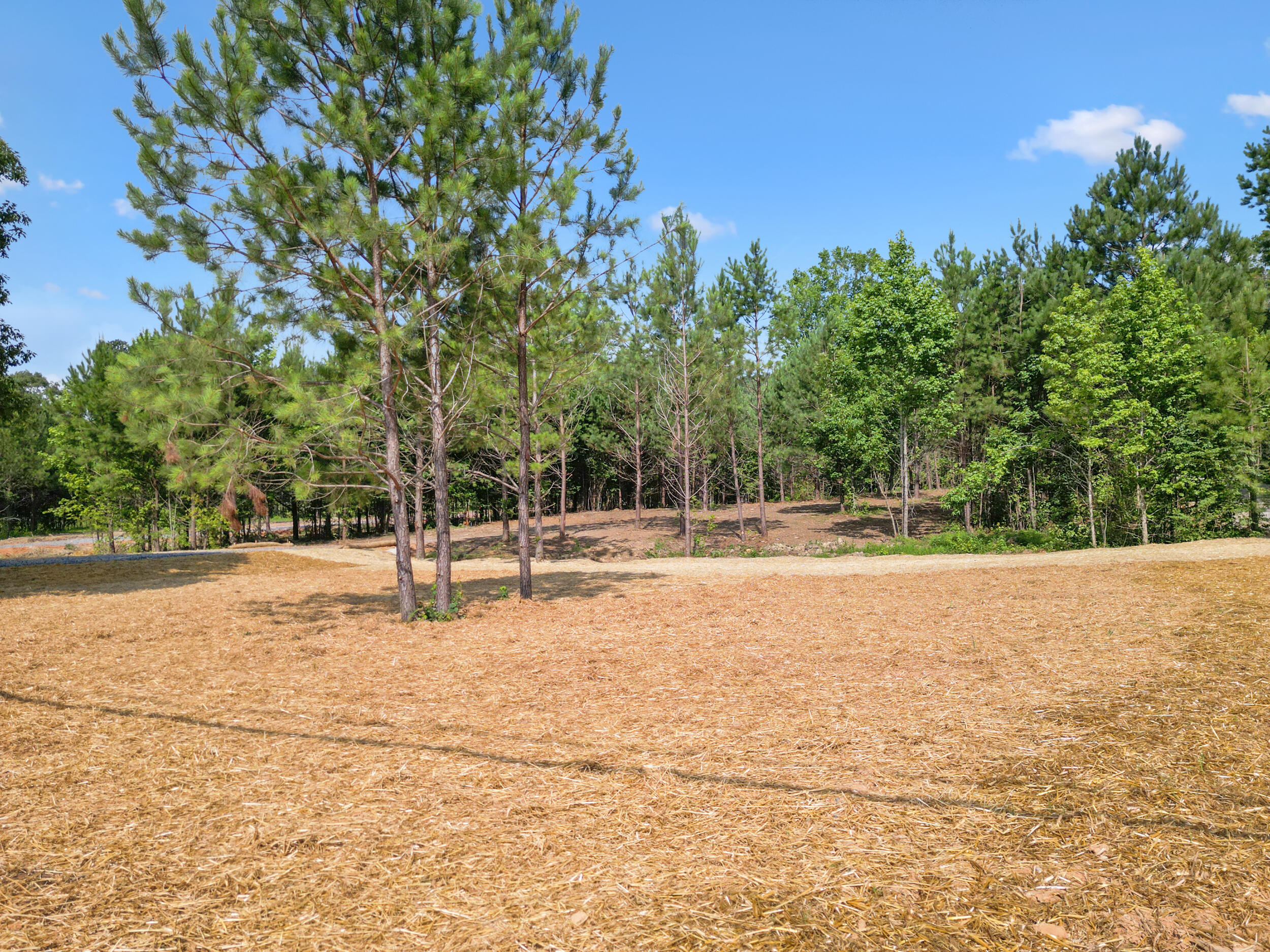 5289 McDonald Road McDonald, TN 37353 - Photo 10 of 16 dji_0135