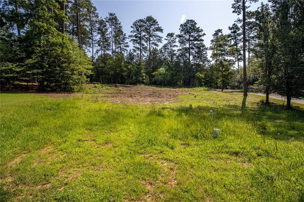 6 Irwin Court Northwest Rome, GA 30165 - Photo 18 of 31 a view of yard with trees