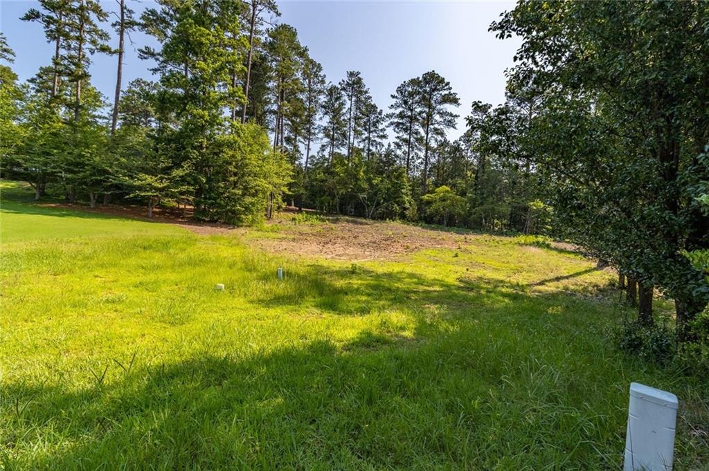 6 Irwin Court Northwest Rome, GA 30165 - Photo 19 of 31 a view of outdoor space and yard