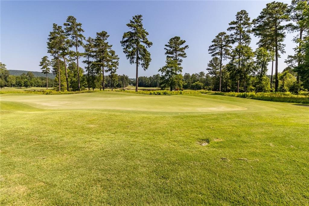 6 Irwin Court Northwest Rome, GA 30165 - Photo 27 of 31 a view of an ocean view