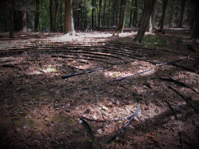 14 Wallace Hollow Road Lindside, WV 24951 - Photo 36 of 89 Gallery Image 36