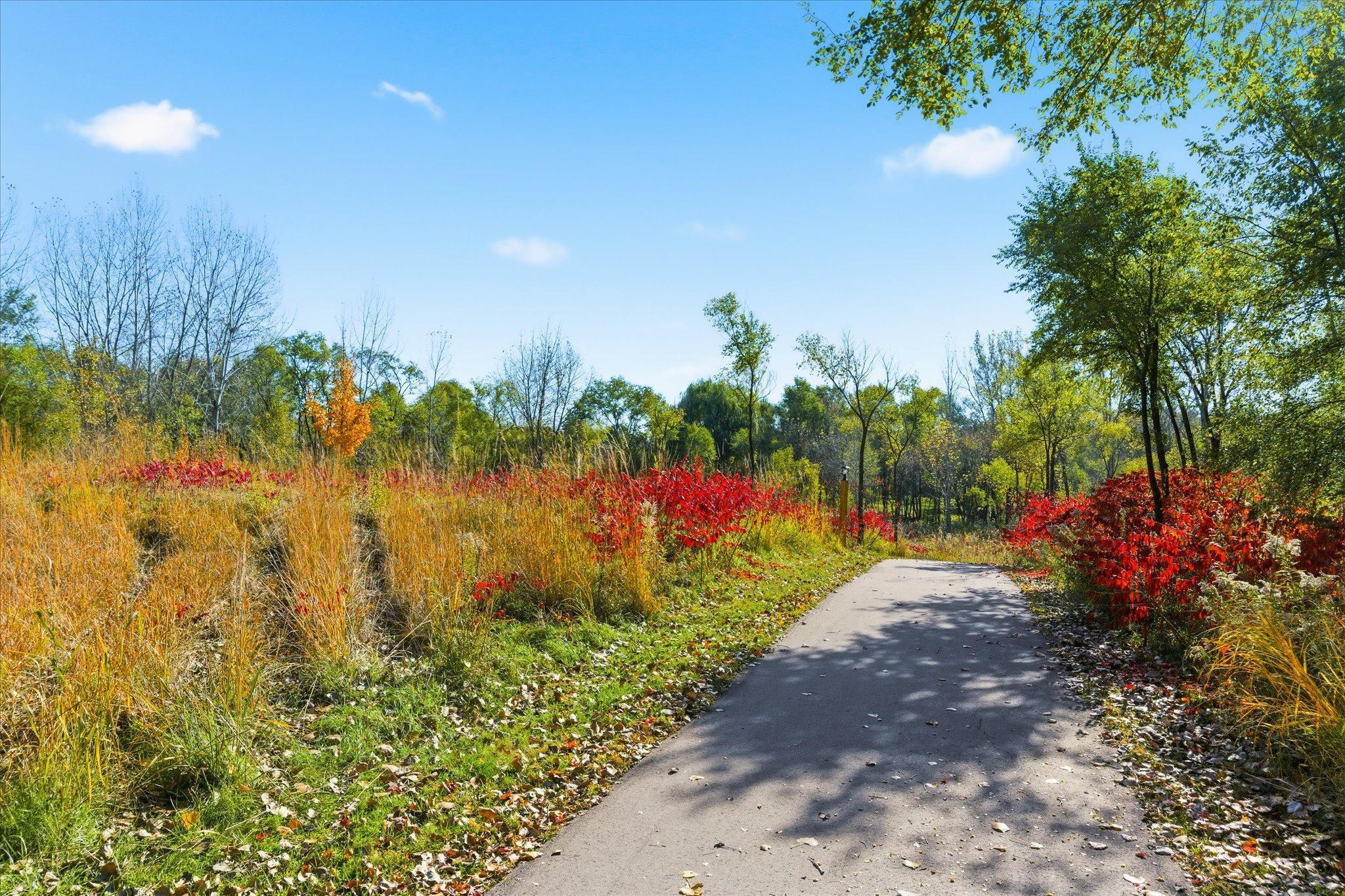 13703 47th Street Northeast St. Michael, MN 55376 - Photo 74 of 81