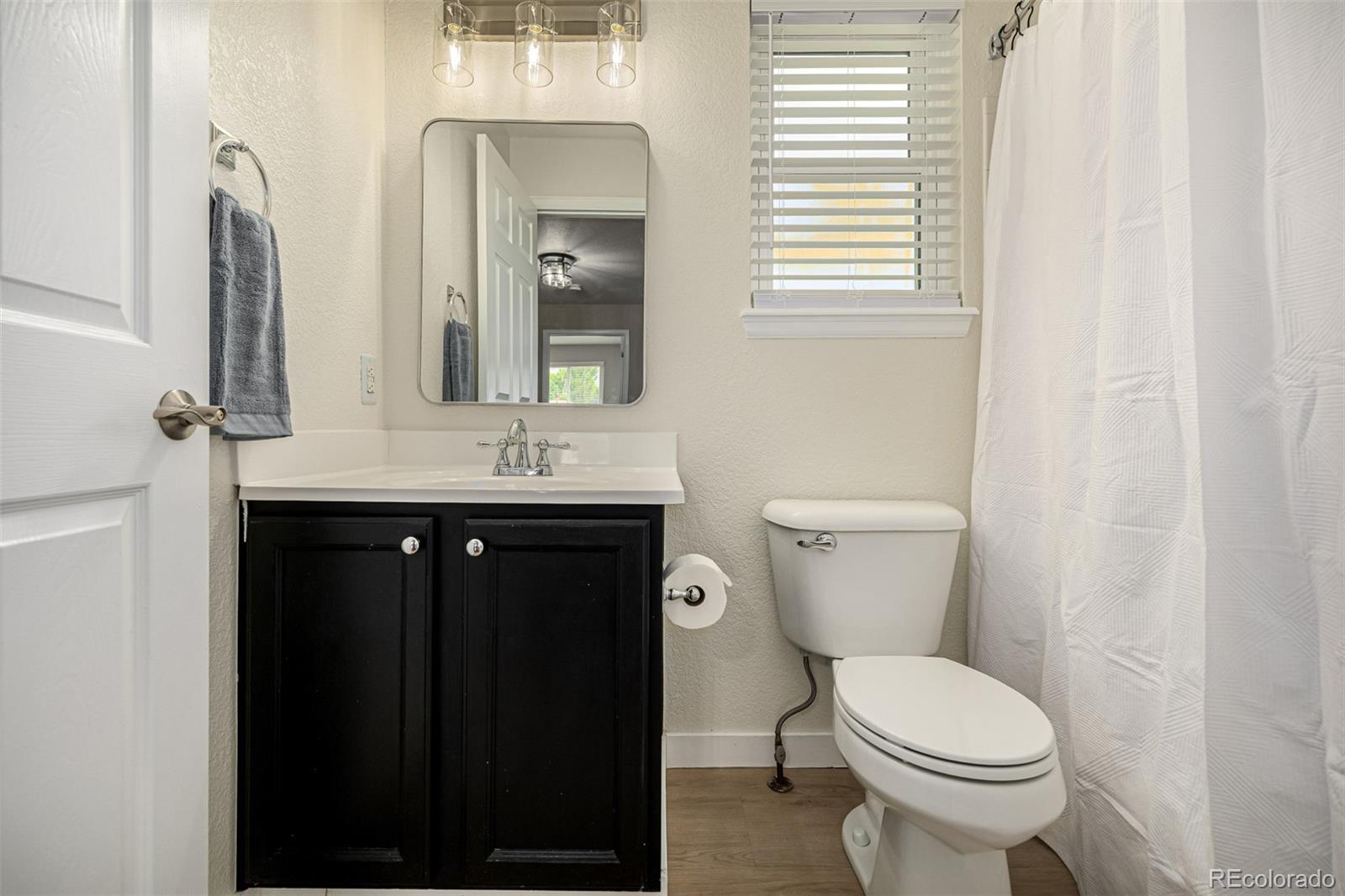 10344 Spring Water Peak Highlands Ranch, CO 80129 - Photo 29 of 49 Gallery Image 29