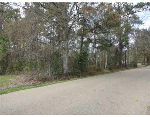 0 Pleasant Ridge Extension Hammond, LA 70403 - Photo 2 of 2 Gallery Image 2