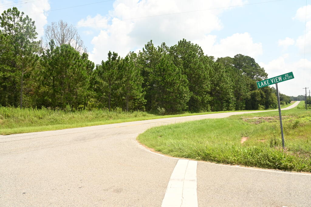 0 Lakeview Church Road Lenox, GA 31637 - Photo 5 of 6 Gallery Image 5