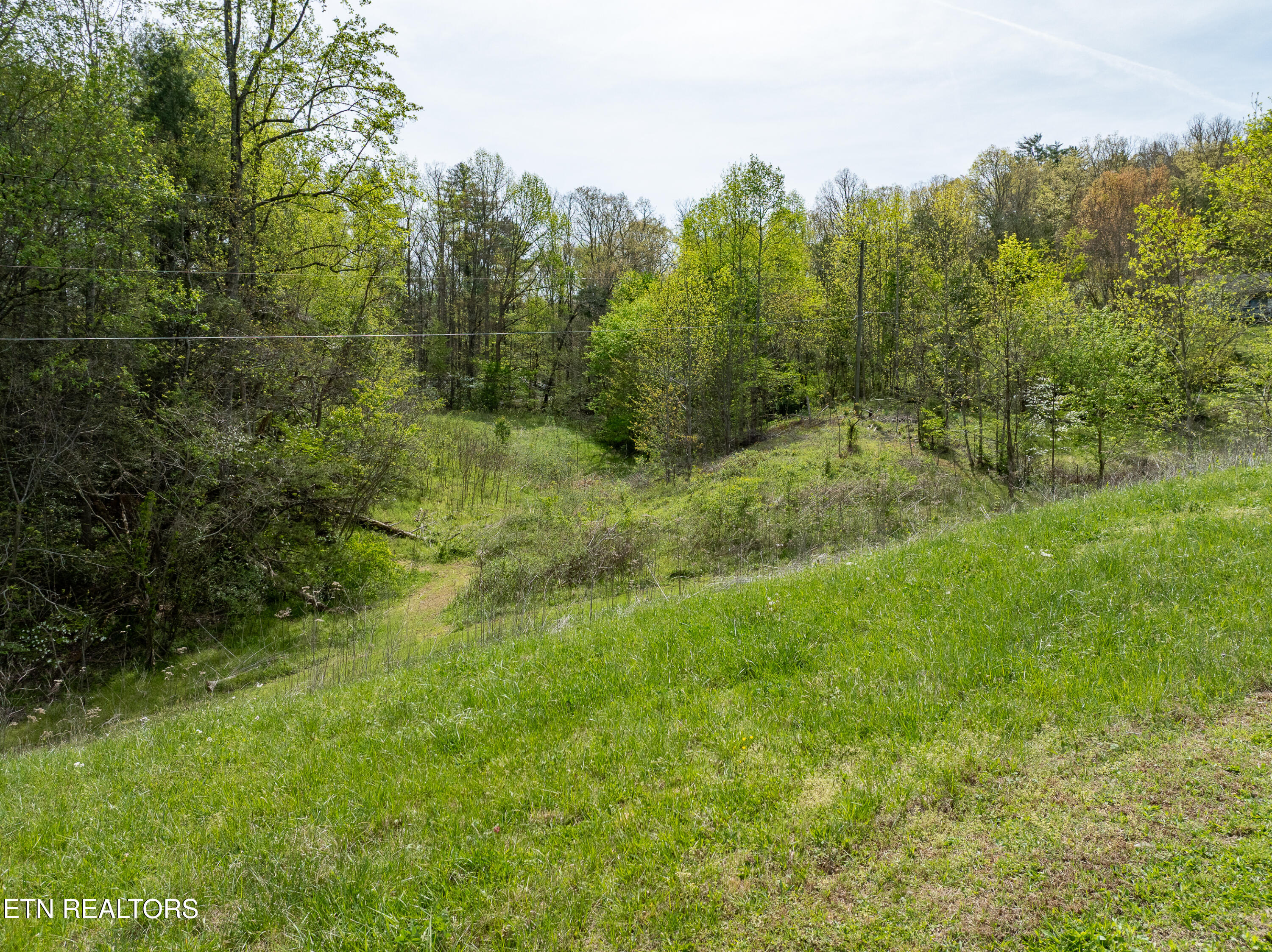 Dry Valley Road Townsend, TN 37882 - Photo 12 of 28 DJI_0032-HDR