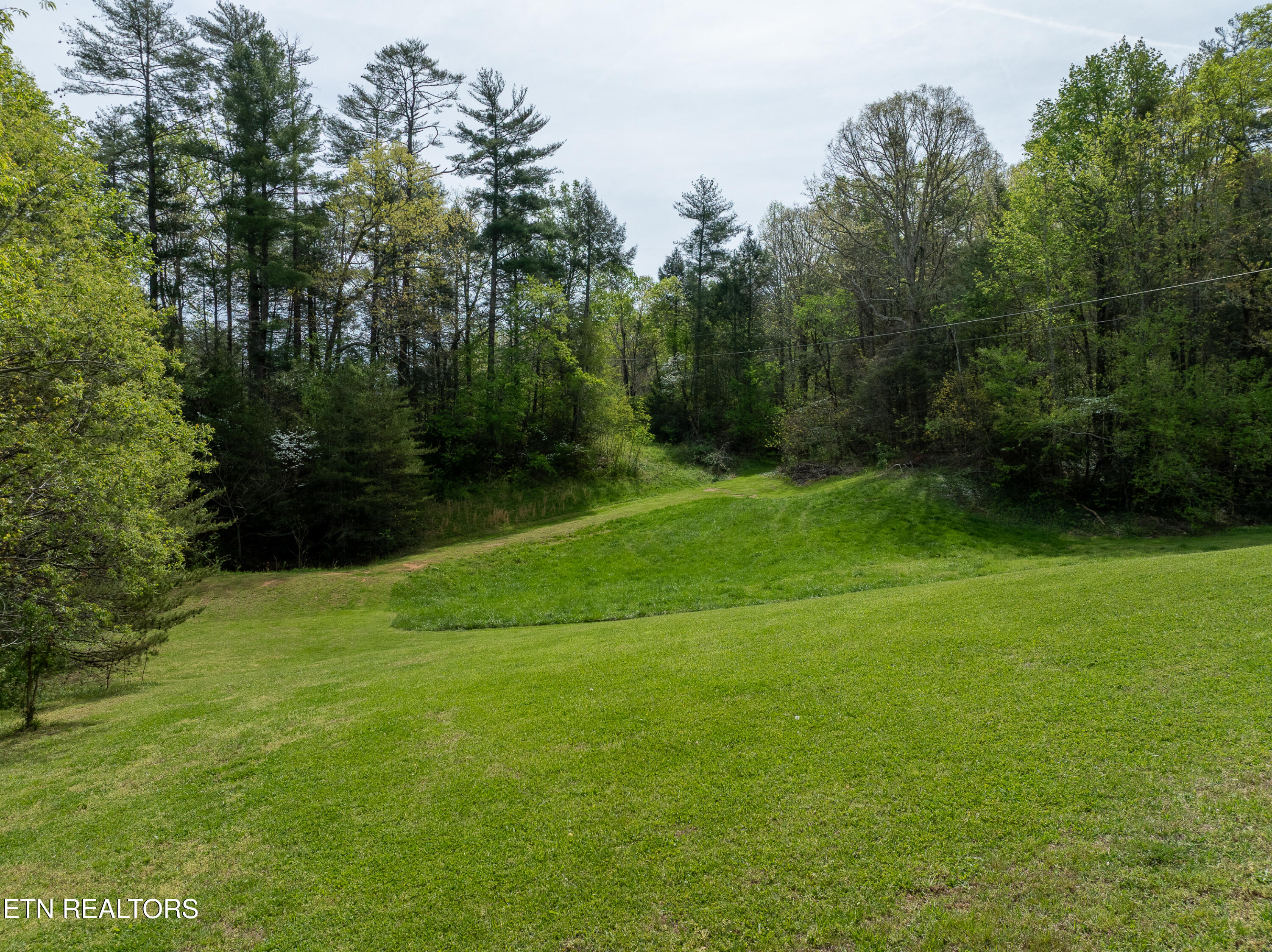 Dry Valley Road Townsend, TN 37882 - Photo 23 of 28 DJI_0065-HDR