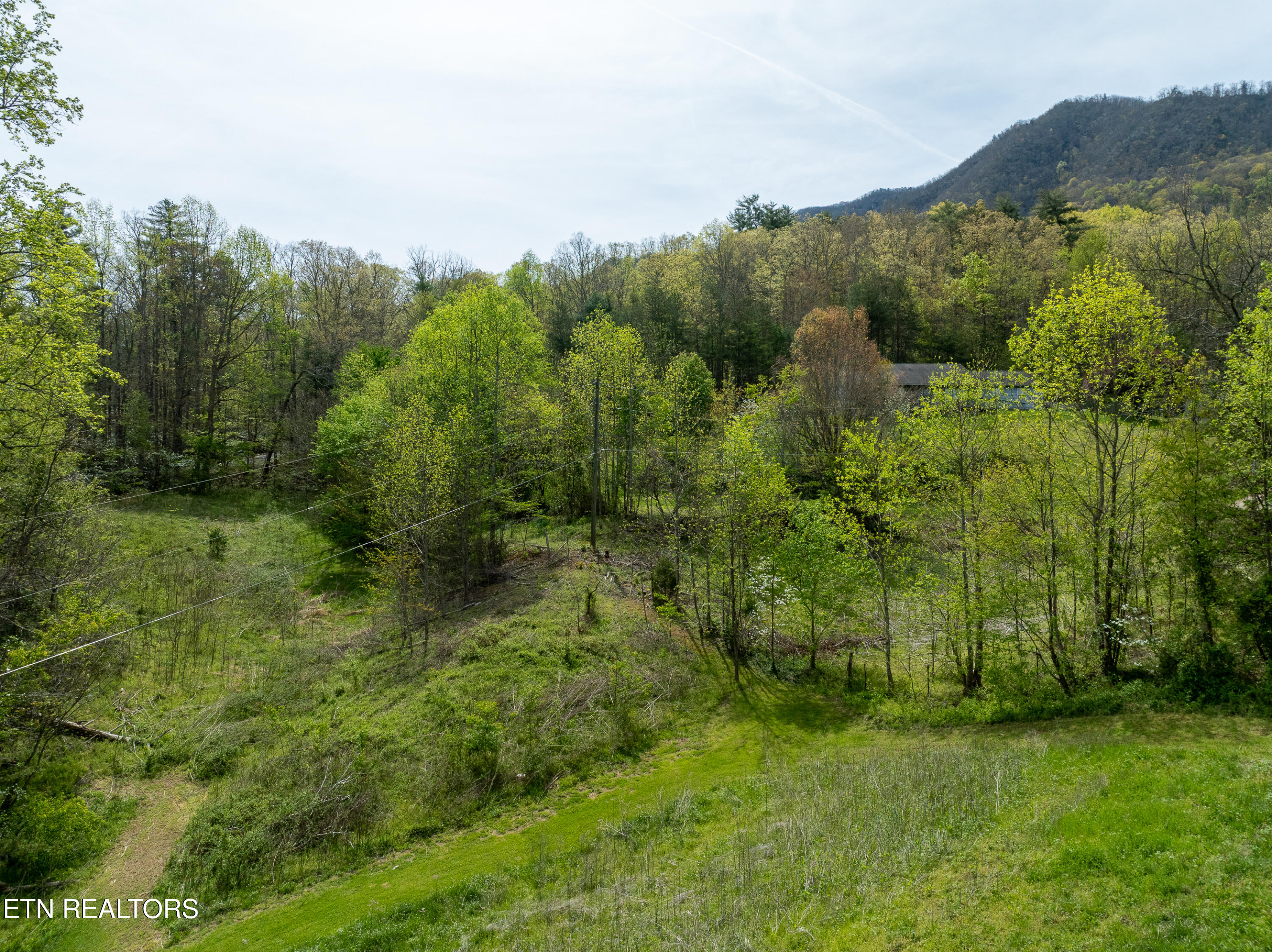 Dry Valley Road Townsend, TN 37882 - Photo 10 of 28 DJI_0026-HDR