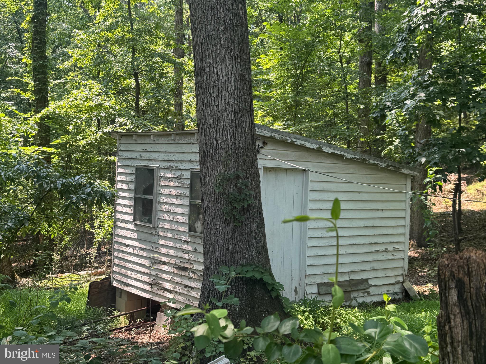 5111 Crooked Run Road Mount Jackson, VA 22842 - Photo 5 of 6 Multiple Outbuildings