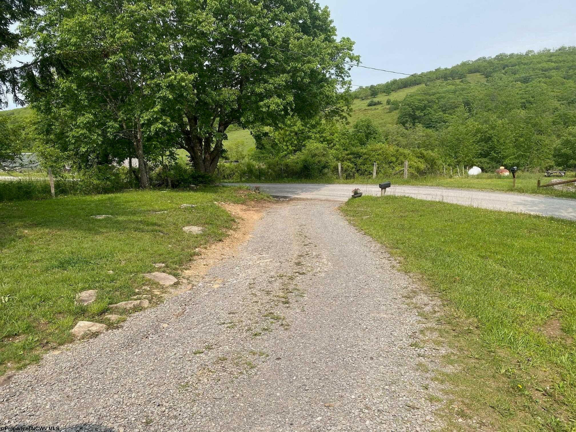12677 Back Mountain Road Durbin, WV 26264 - Photo 8 of 27 Gallery Image 8