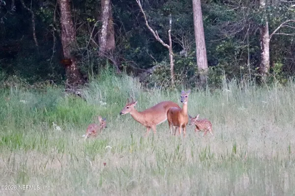 $550,000 | 15779 Mohawk, Glen St. Mary, FL 32040