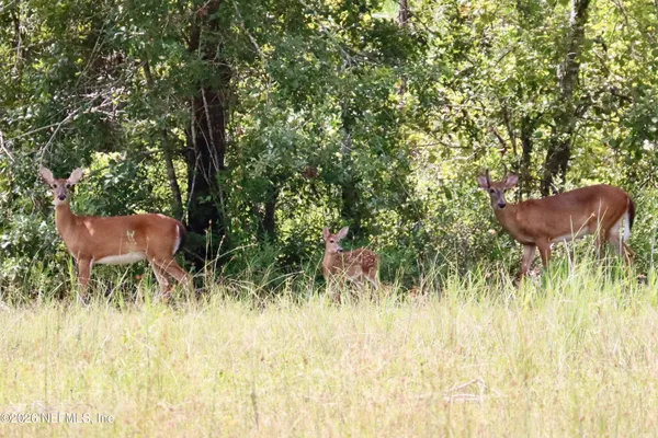 $550,000 | 15779 Mohawk, Glen St. Mary, FL 32040