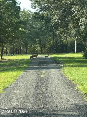 $550,000 | 15779 Mohawk, Glen St. Mary, FL 32040