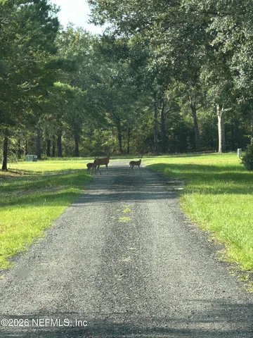 $550,000 | 15779 Mohawk, Glen St. Mary, FL 32040