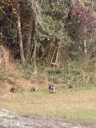 $550,000 | 15779 Mohawk, Glen St. Mary, FL 32040