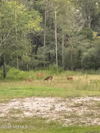 $550,000 | 15779 Mohawk, Glen St. Mary, FL 32040