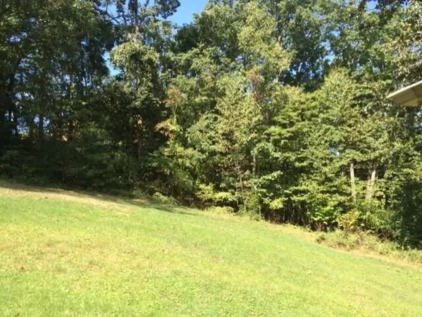a view of a yard with an outdoor space