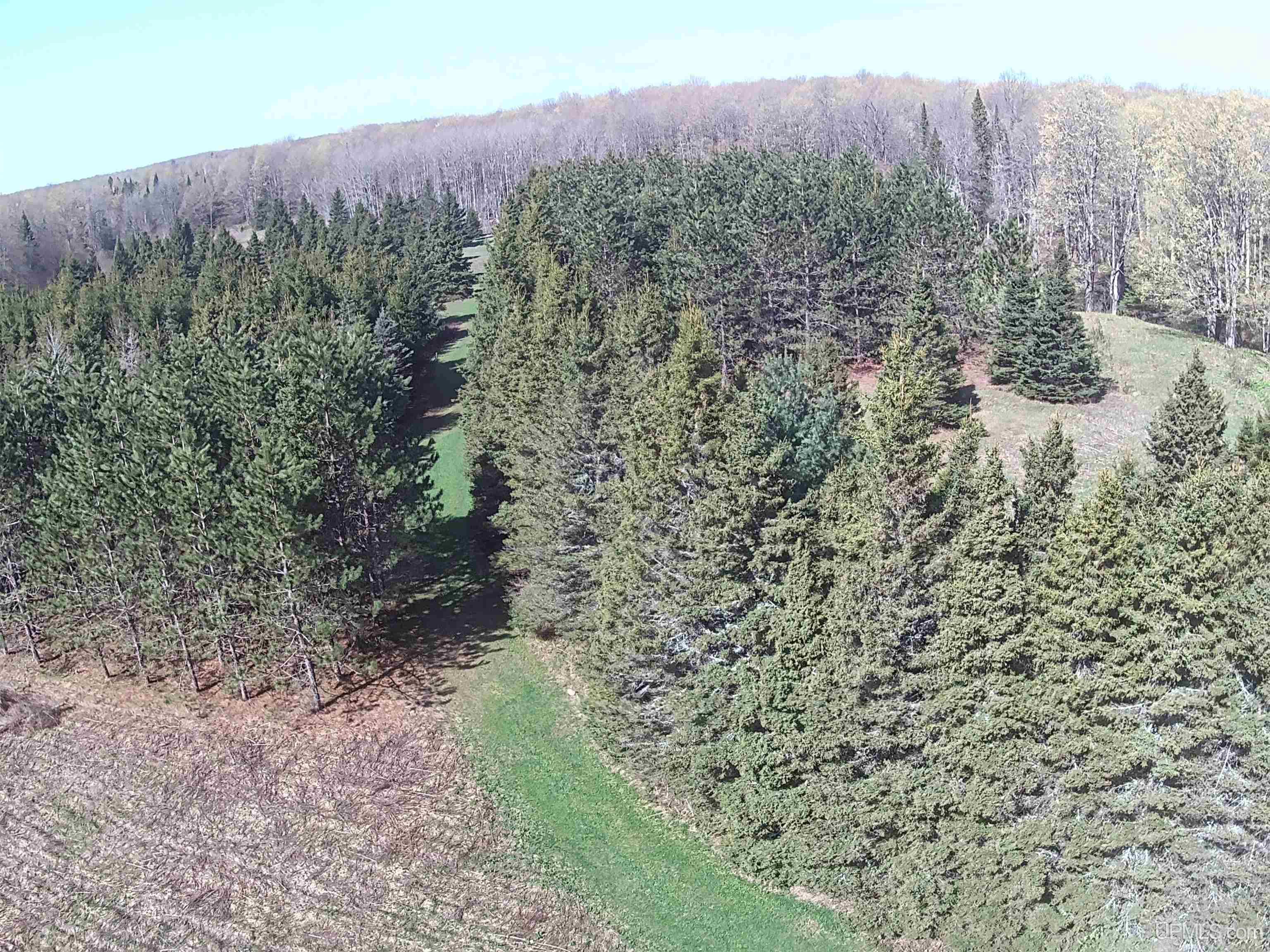 Tbd County H26 Road Rock, MI 49880 - Photo 17 of 20