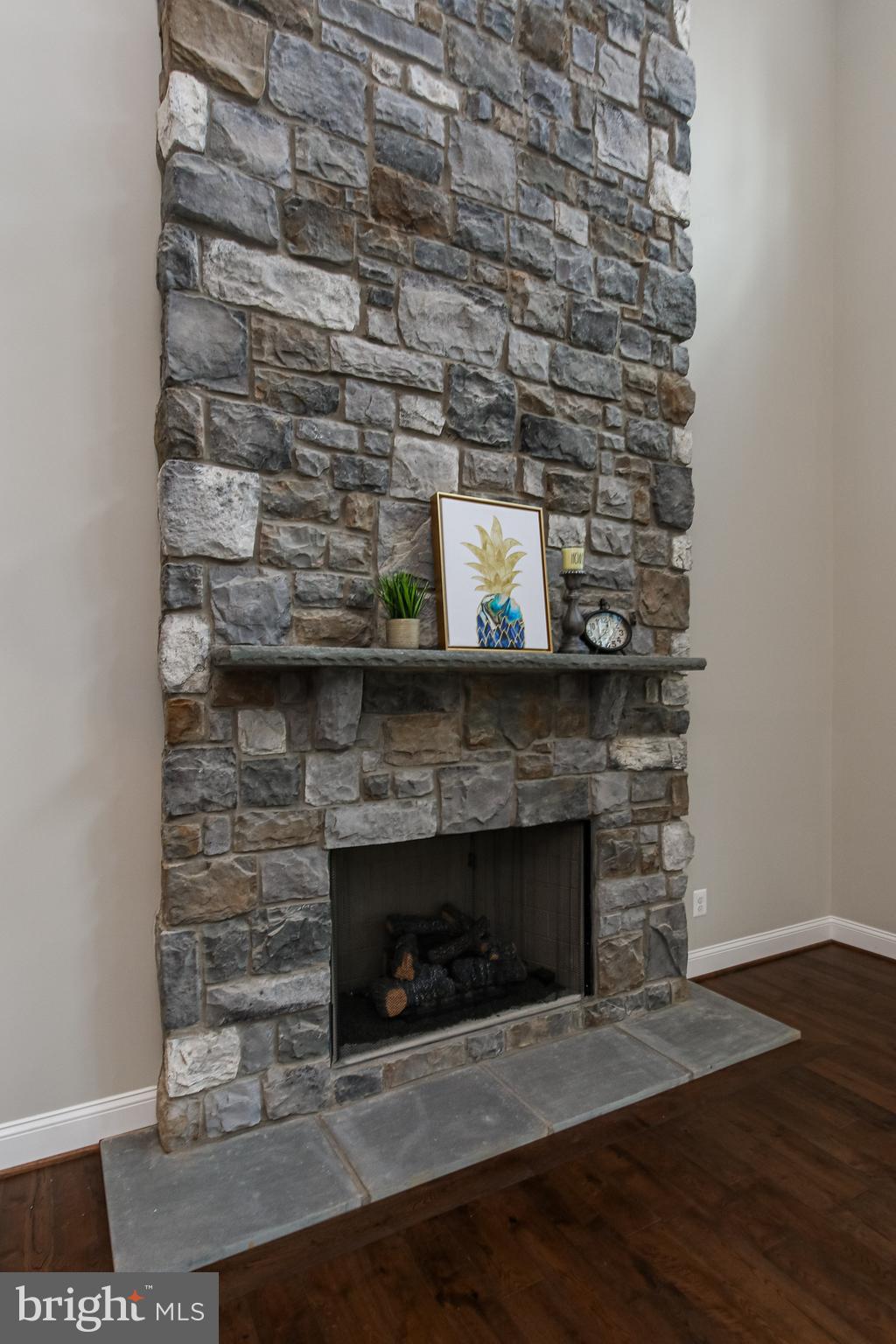 14442 Liberty Road Mount Airy, MD 21771 - Photo 18 of 51 Floor-to-ceiling stone wall behind gas fireplace