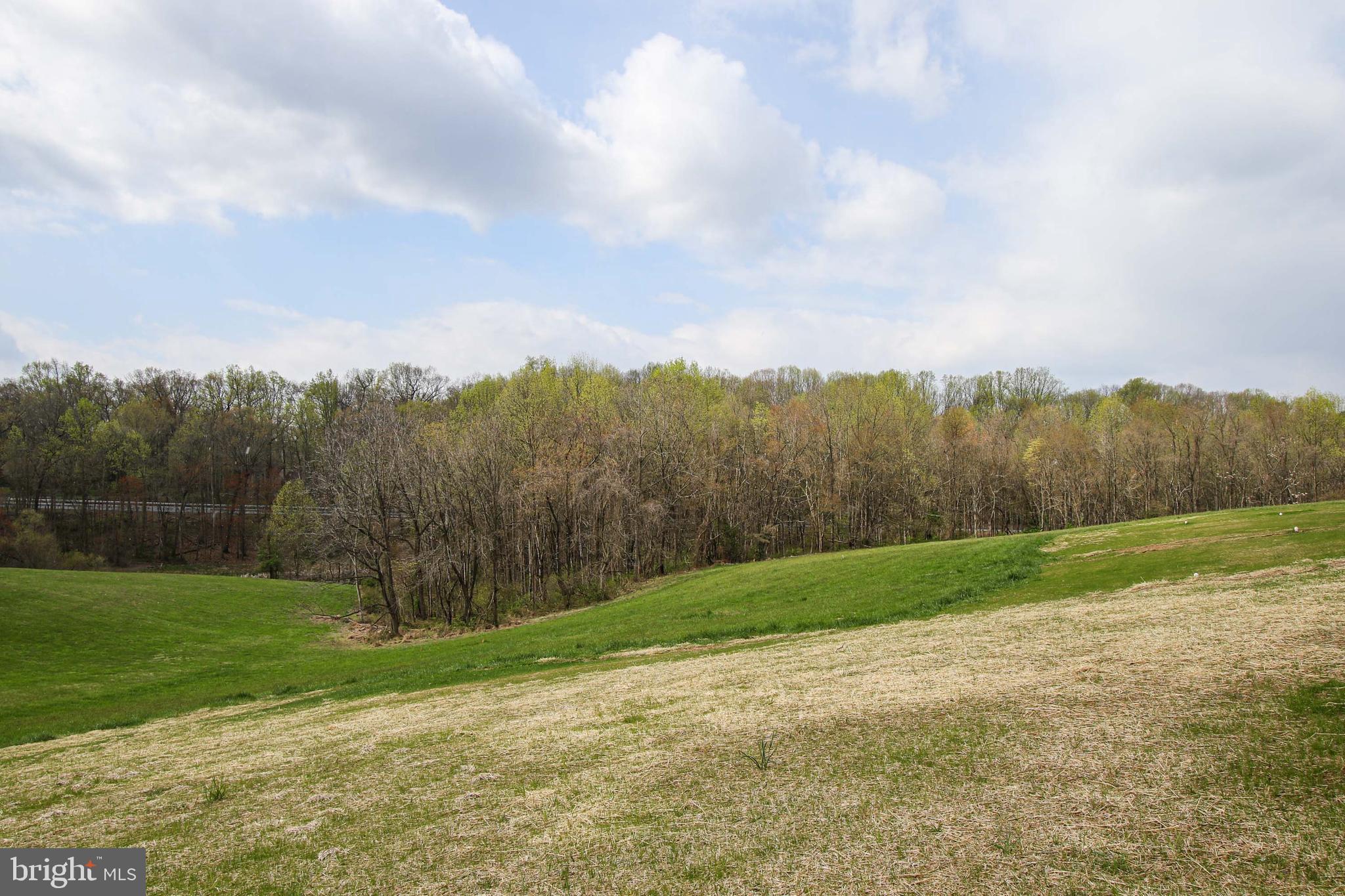 14442 Liberty Road Mount Airy, MD 21771 - Photo 5 of 51 Beautiful, private, just over 3 acres