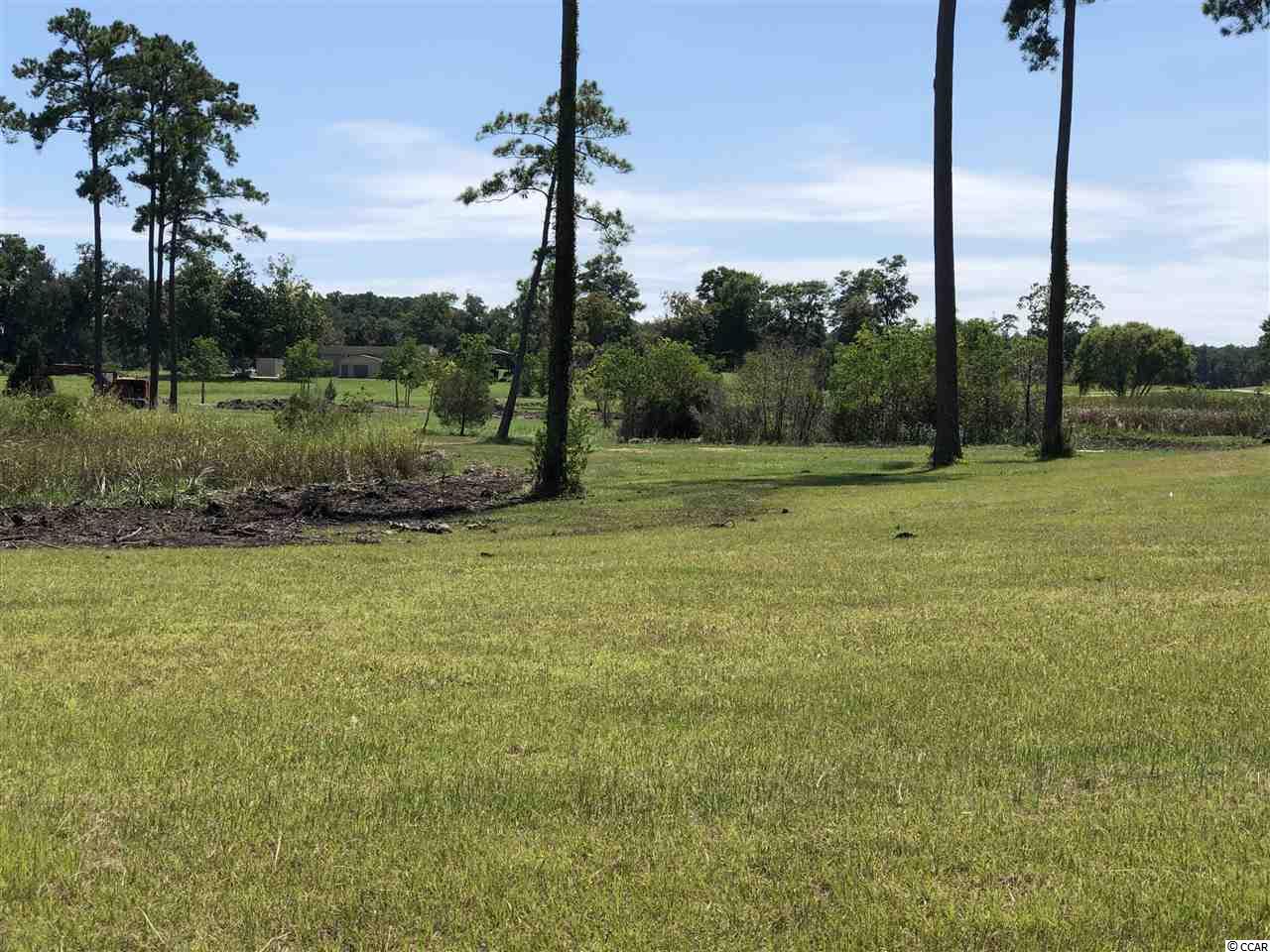 Lot # South Bay Street Georgetown, SC 29440 - Photo 3 of 17