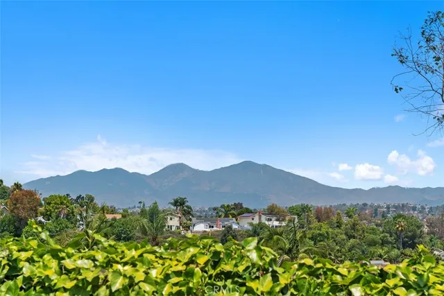 a view of a lush green hillside and a mountain view