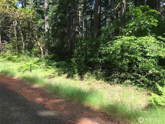 a view of a road with a yard