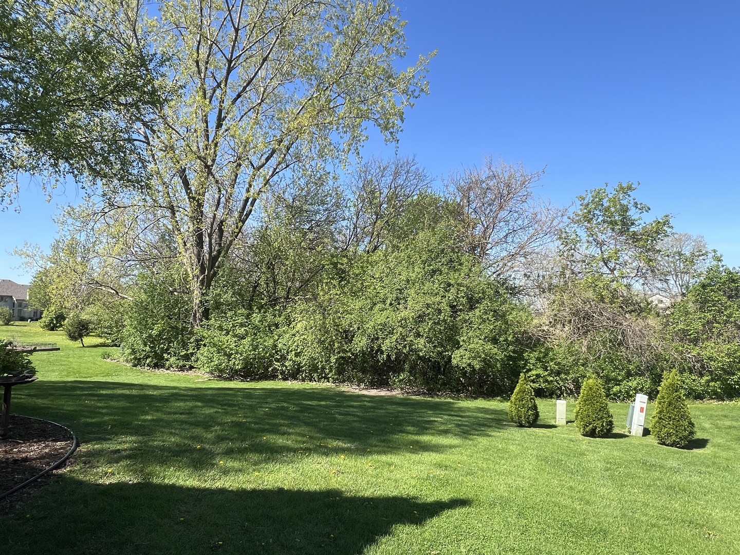16200 Kingsport Road Orland Park, IL 60467 - Photo 31 of 32 a view of a park with large trees