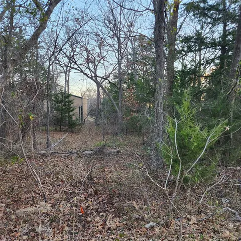 a view of a forest filled with trees