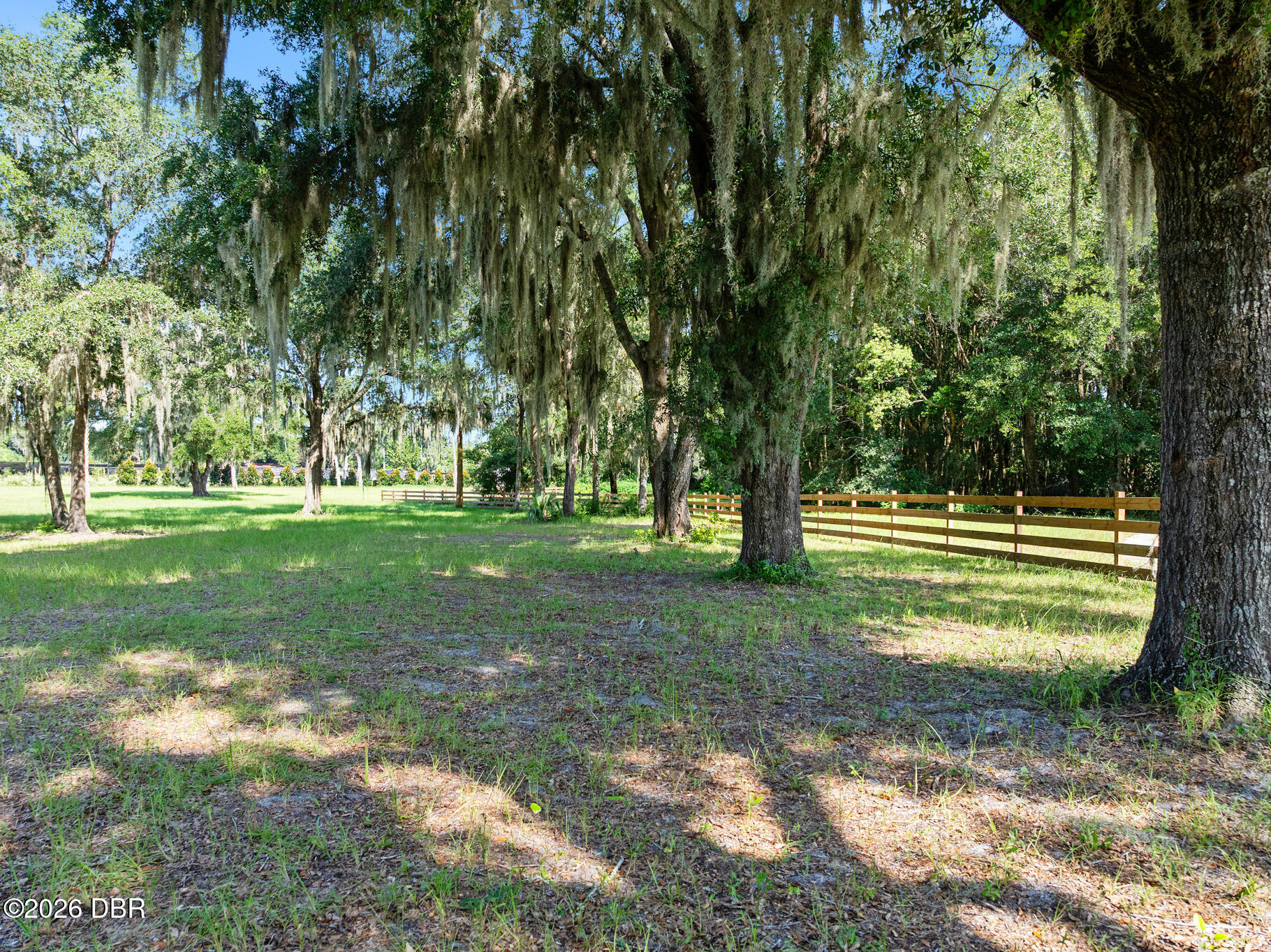 0 Blackburn Road Pierson, FL 32180 - Photo 11 of 14 AEP360-18