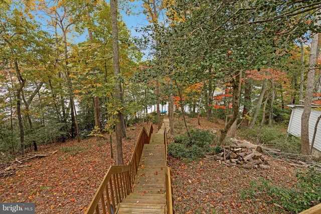 a lawn chairs and trees in a backyard