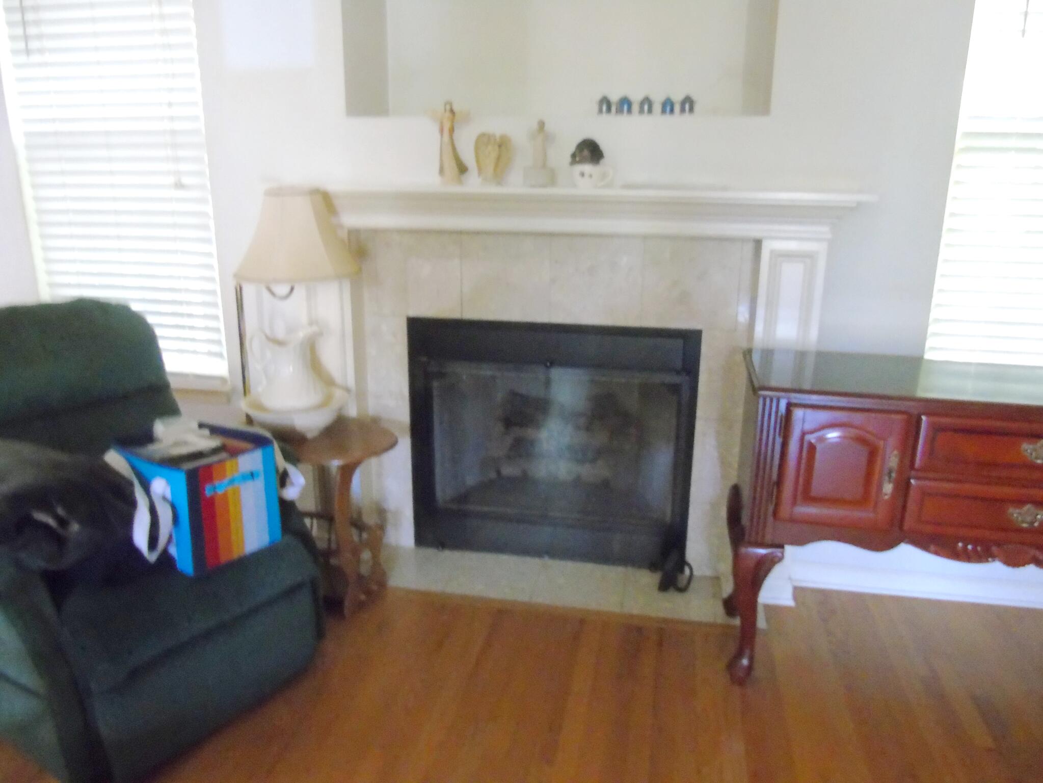 1371 Roach Hollow Road Ringgold, GA 30736 - Photo 11 of 17 Gas log fireplace