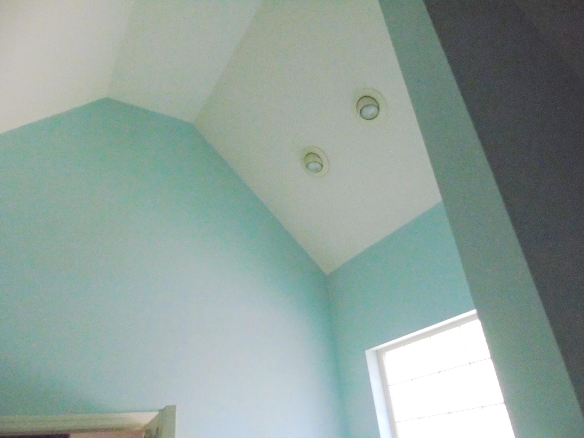 1371 Roach Hollow Road Ringgold, GA 30736 - Photo 12 of 17 Main bedroom bath ceiling