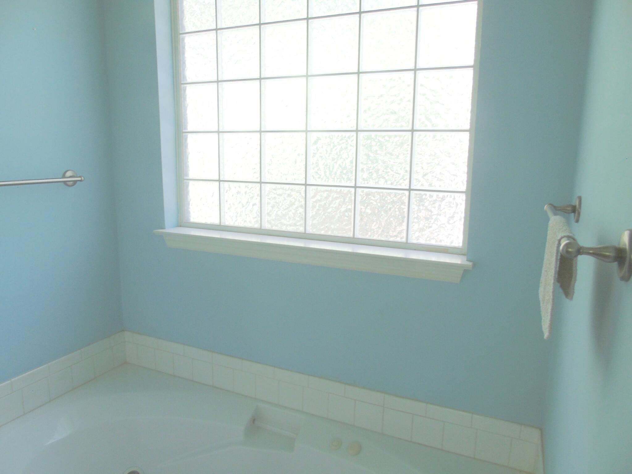 1371 Roach Hollow Road Ringgold, GA 30736 - Photo 16 of 17 Whirlpool tub & block glass