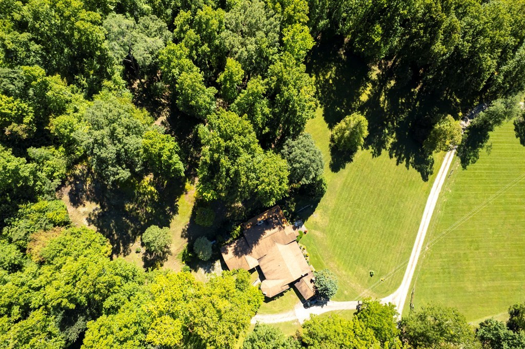 1620 East Buffalo Road Robbinsville, NC 28771 - Photo 28 of 40