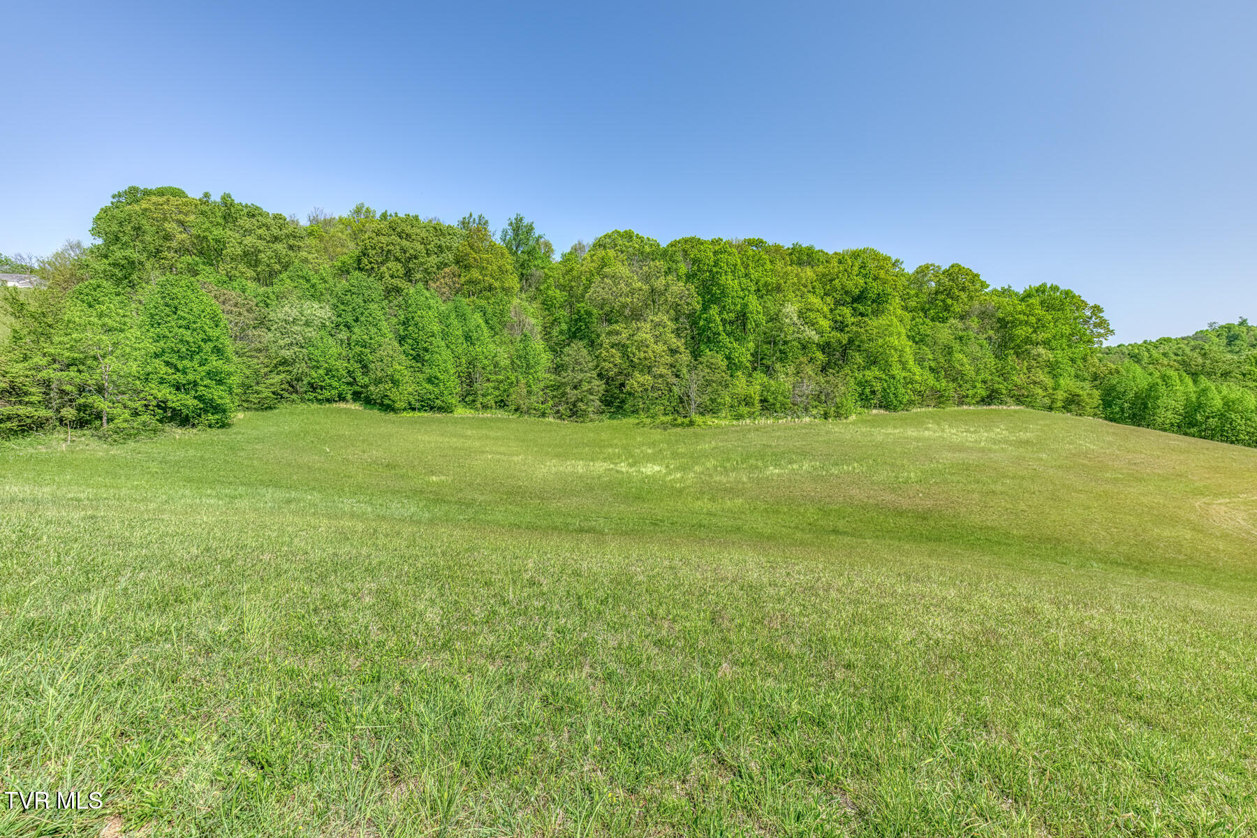 520 Highway 93 Fall Branch, TN 37656 - Photo 92 of 106 520 Highway 93 Exterior-50
