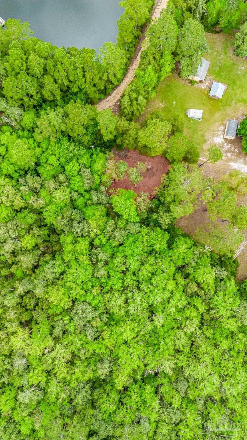 0 Bobcat Trail Milton, FL 32583 - Photo 25 of 34